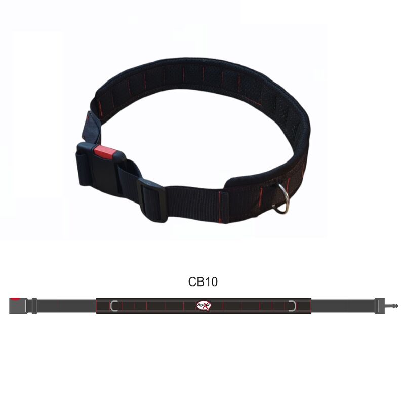 Coaches Belt