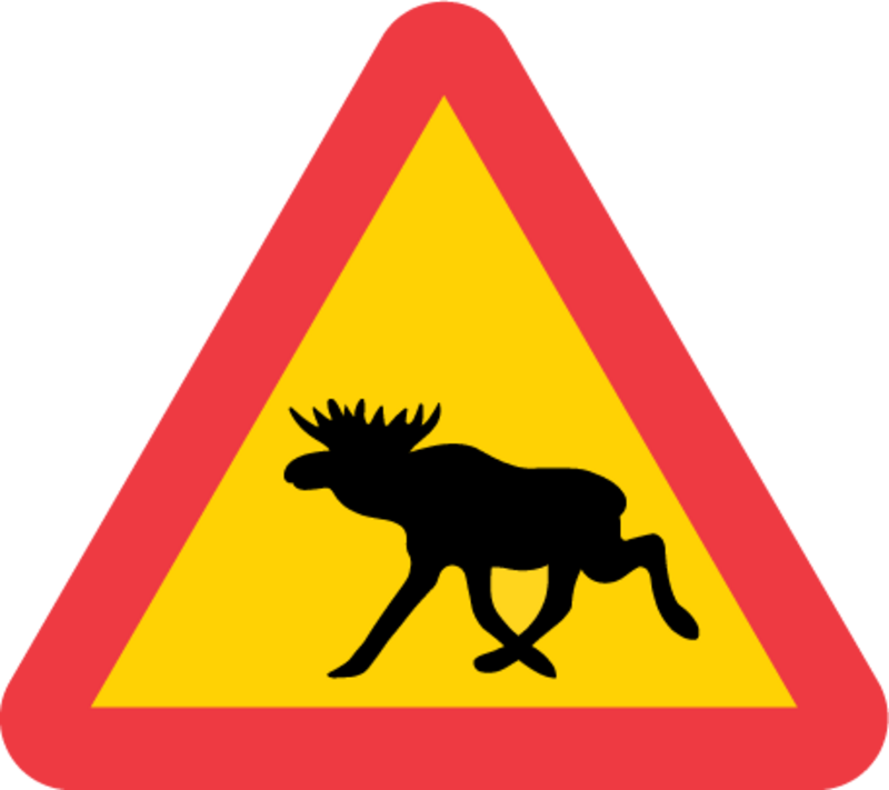 A19 Varning för älg