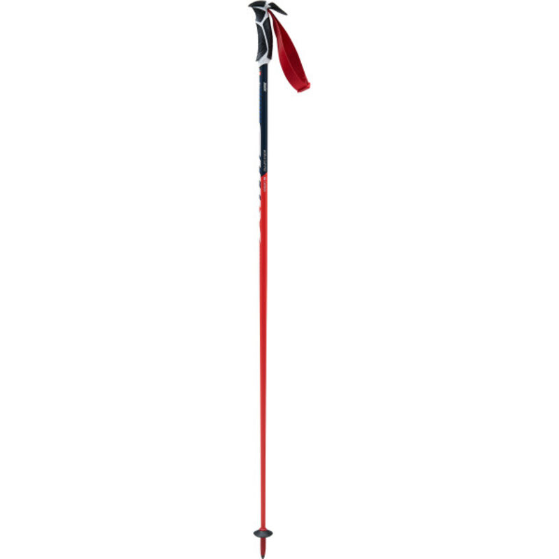 SWIX WC Pro SL Carbon